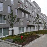 fmbimmo-studio-belgique-8